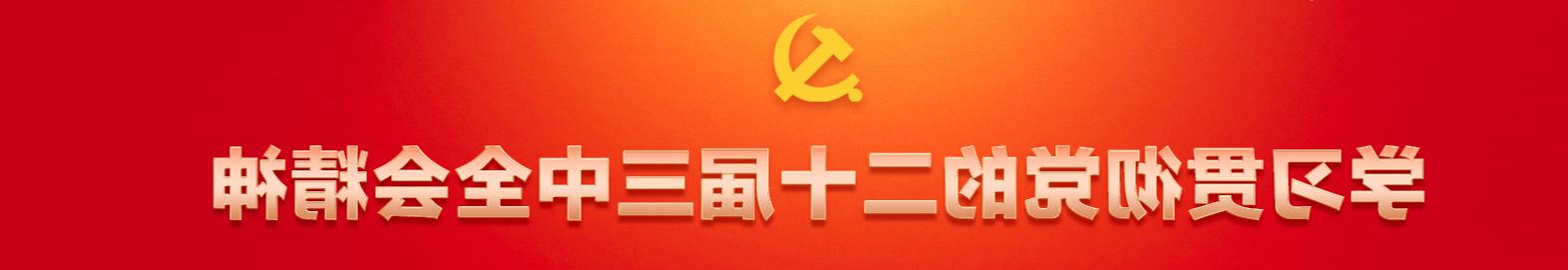 学习贯彻党的二十届三中全会精神